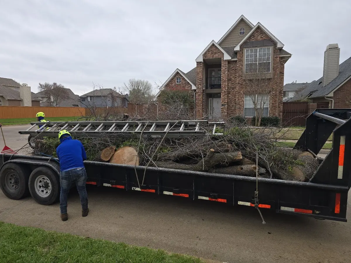 Expert Lot Clearing with proper safety equipment in Eddyville